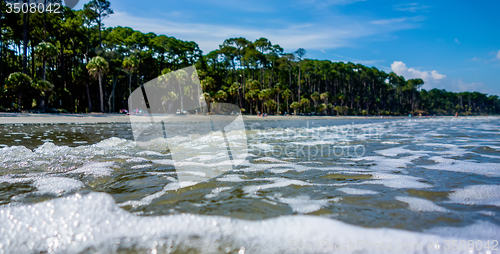 Image of nature scenes around hunting island south carolina