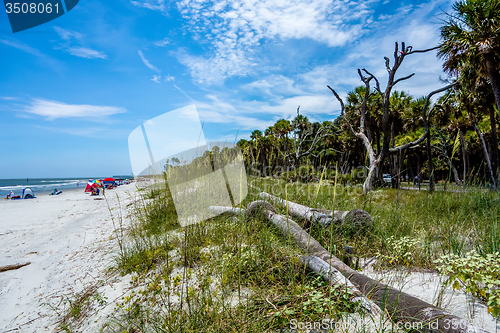 Image of nature scenes around hunting island south carolina