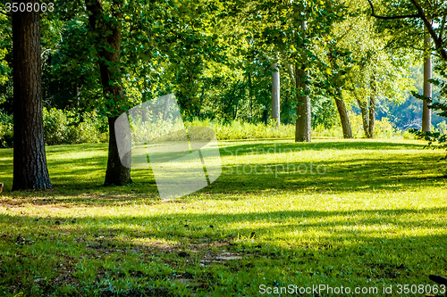 Image of picnic area at woods ferry park in south carolina