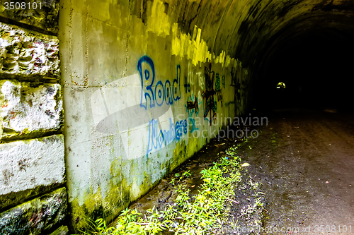 Image of tunnel to road to nowhere at lakeshore trailhead near lake fonta