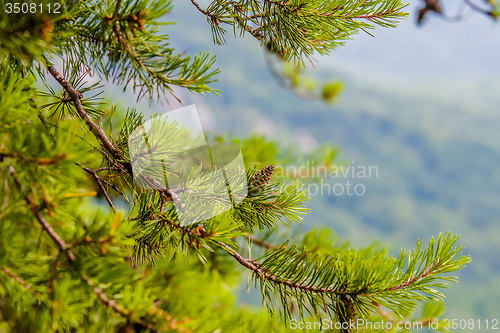Image of scenes near chimney rock and lake lure in blue ridge mountains n