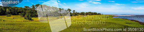 Image of nature scenes around hunting island south carolina