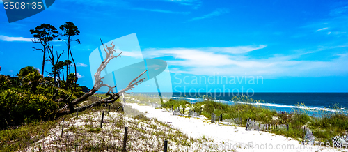 Image of nature scenes around hunting island south carolina