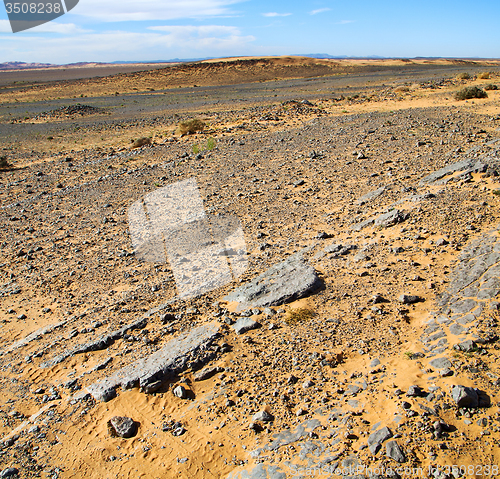 Image of  old fossil in  the desert of morocco sahara and rock  stone sky