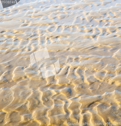 Image of dune morocco in africa brown coastline wet sand beach near atlan