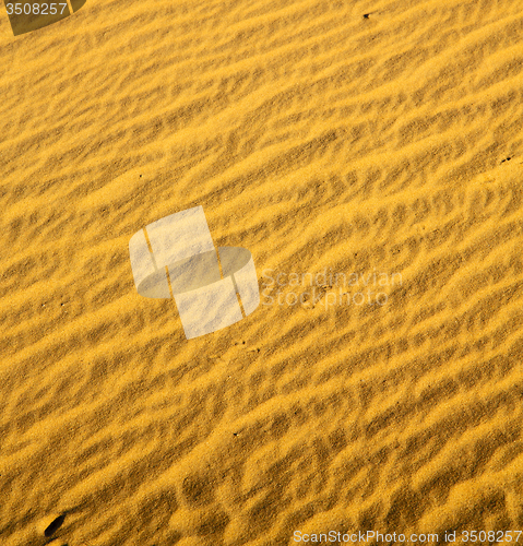 Image of the brown sand dune in the sahara morocco desert 