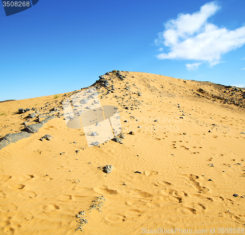 Image of  old fossil in  the desert of morocco sahara and rock  stone sky