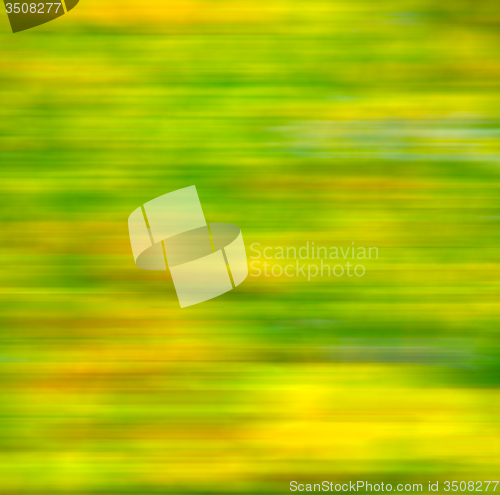 Image of in london yellow flower field nature and spring