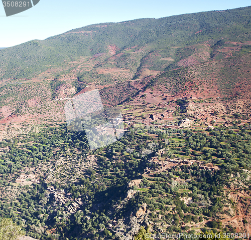 Image of the    dades valley in atlas moroco africa ground tree  and nobo