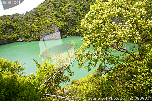 Image of   lagoon and tree  south china sea thailand kho phangan  bay  
