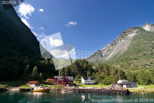 Image of Mountain Fjord Farm