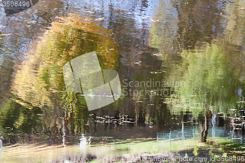 Image of Autumn trees reflected