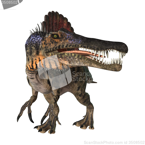 Image of Dinosaur Spinosaurus