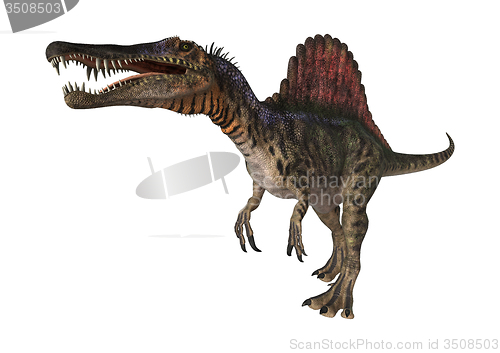 Image of Dinosaur Spinosaurus