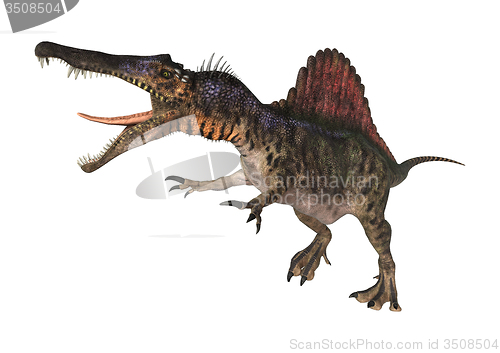 Image of Dinosaur Spinosaurus