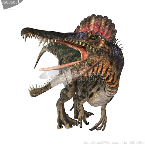 Image of Dinosaur Spinosaurus