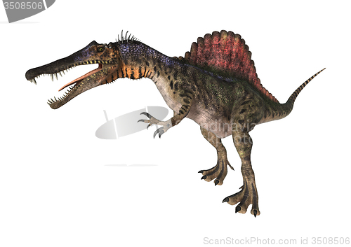 Image of Dinosaur Spinosaurus