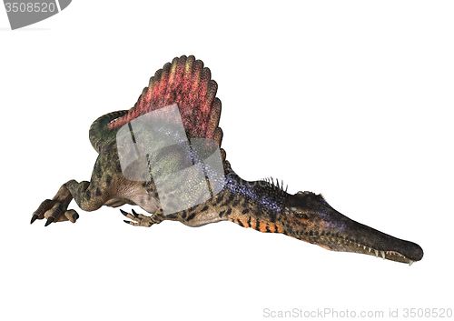 Image of Dinosaur Spinosaurus