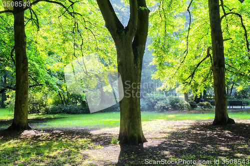 Image of Park in spring time