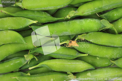 Image of green pea background