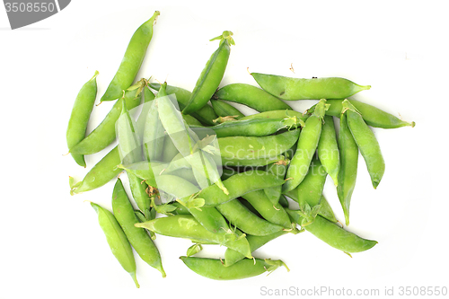 Image of green pea isolated
