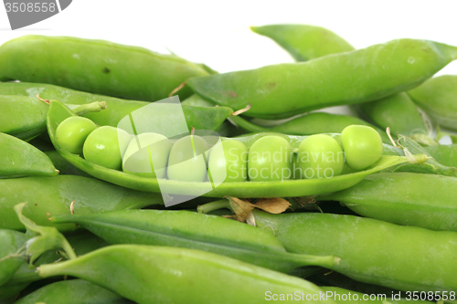 Image of green pea isolated