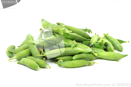 Image of green pea isolated