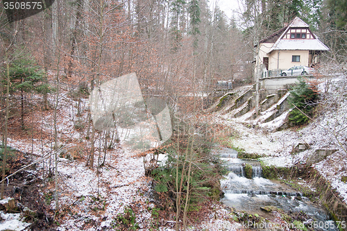 Image of Snow forest and a river