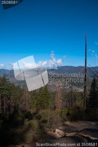 Image of Yosemite Valley View