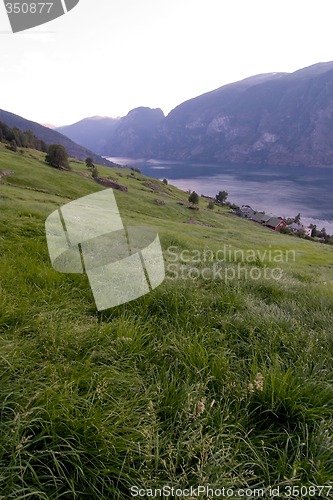 Image of Evening Fjord View