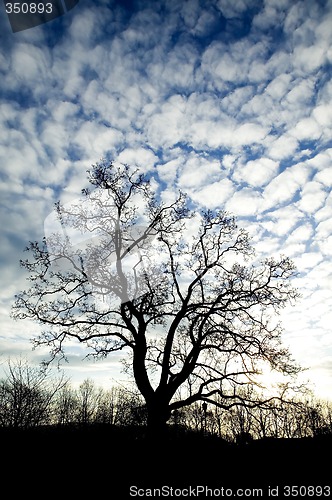 Image of Dramatic Sunrise