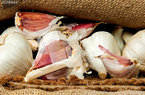 Image of Whole garlic and cloves of garlic in a sack