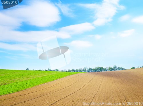Image of field