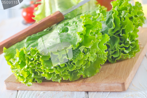 Image of fresh salad