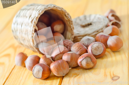 Image of hazelnuts