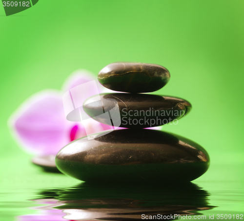 Image of Orchid and black basalt for spa on green background