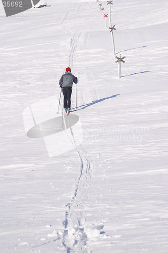 Image of Cross country