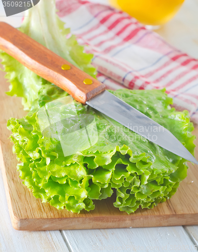 Image of fresh salad