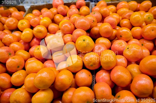 Image of Bulk Oranges
