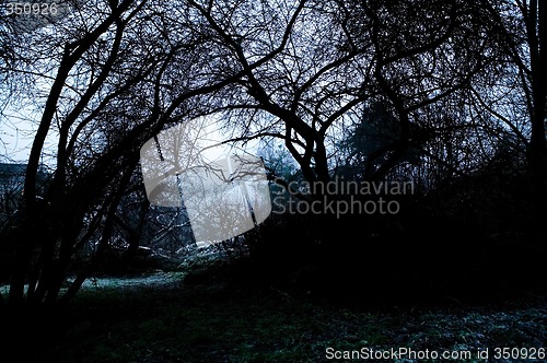 Image of Spooky Path in Fog