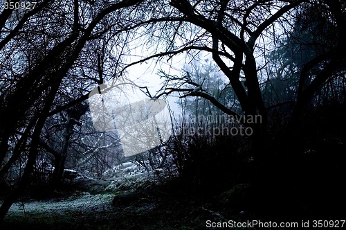 Image of Spooky Path in Fog