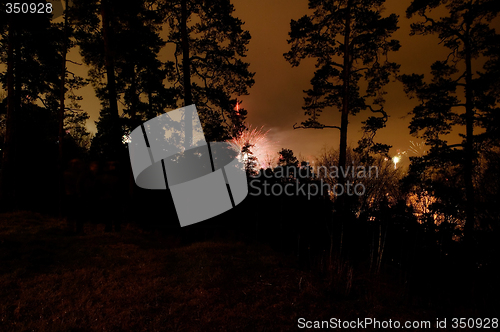 Image of Forest Fireworks