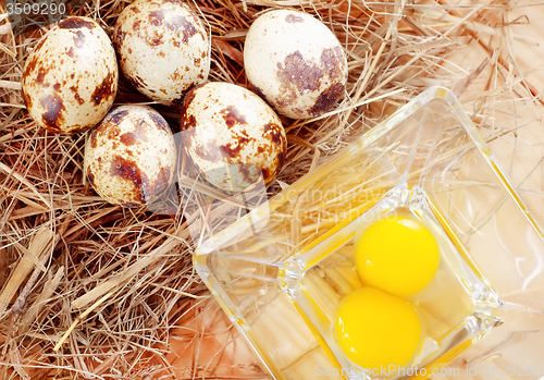 Image of quail eggs