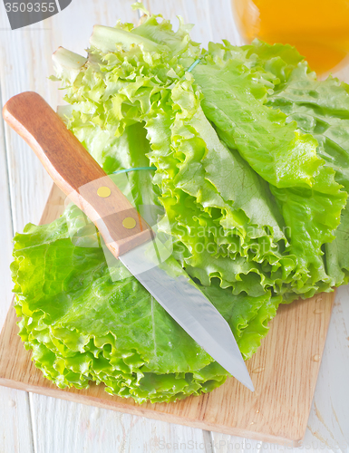 Image of fresh salad