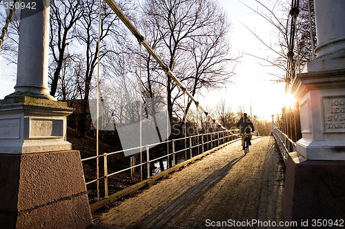 Image of Suspension Bridge on Sunny Day