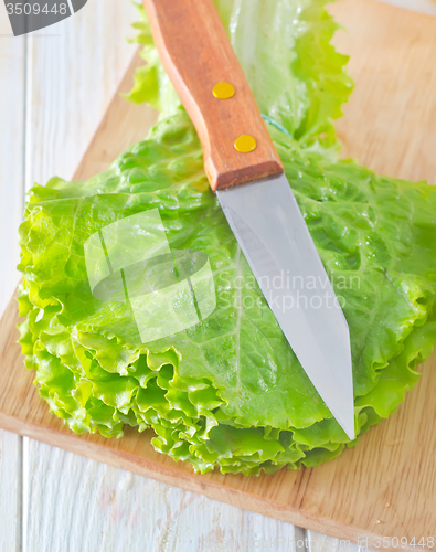 Image of fresh salad