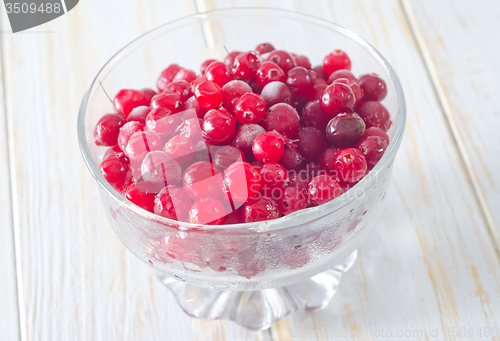 Image of frozen cranberry