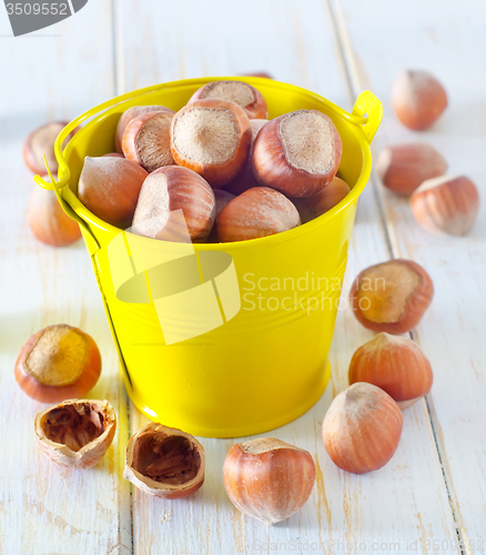 Image of hazelnuts