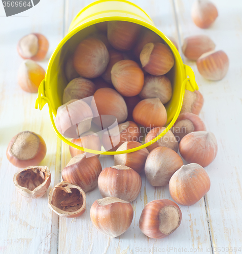 Image of hazelnuts