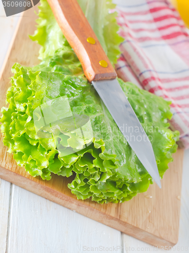 Image of fresh salad